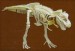 imagesCAOQBG11.jpg